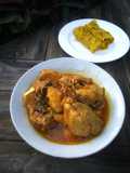 Ragit kari ayam