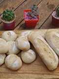Pan francés : mignones, flautitas y felipes