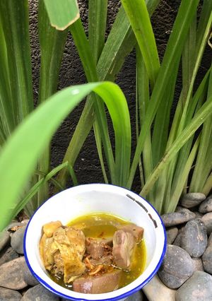 Foto resep Jukut Nangka ala Bali