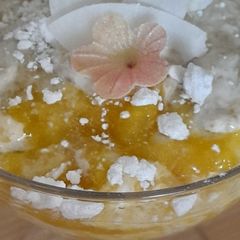 A picture of Mango fool.