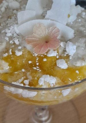 A picture of Mango fool.