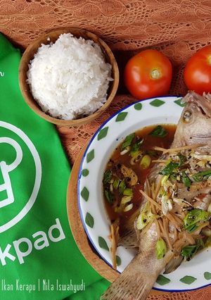 Foto resep Tim Ikan Kerapu