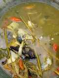 Pindang Gombyang Ikan Patin