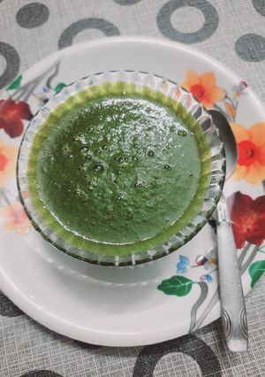 ধনেপাতার চাটনি (dhanepatar chutney recipe in Bengali) রেসিপির প্রধান ছবি