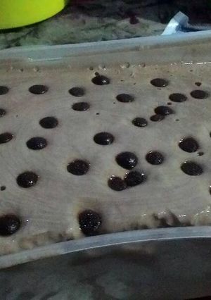 Foto resep Chocochips coklat ice cream🍫🍪🍨