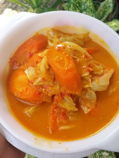 Foto resep Kare sayuran /vegetable curry (tanpa bubuk kare instan)