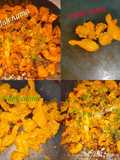 Chicken Tawa Roasted
