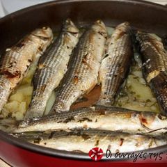 A picture of Grey mullet in the oven.