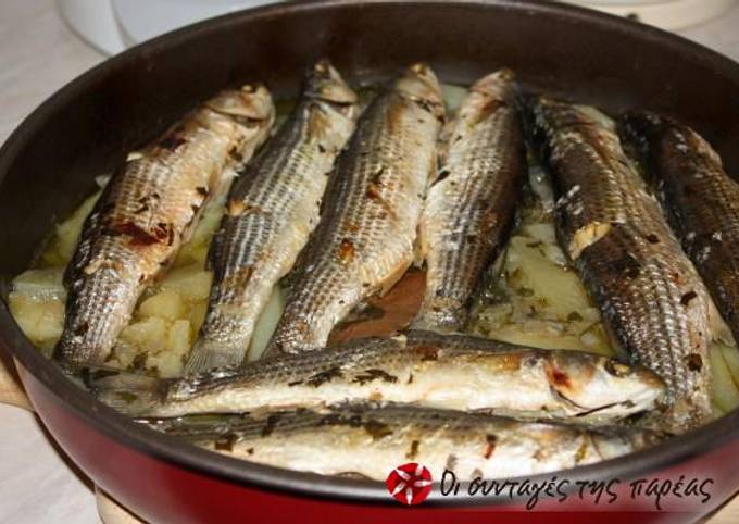 Grey mullet in the oven