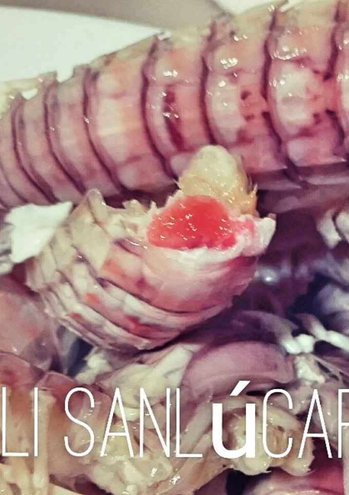 Una foto de Galeras de coral cocidas