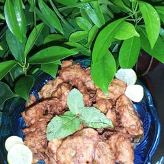 A picture of Kadukash alu pakory.