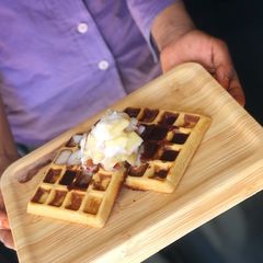 A picture of Waffles.