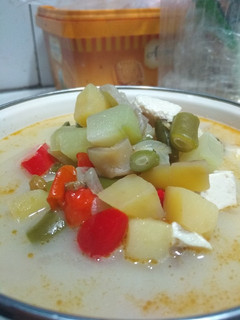 Foto resep Sayur Lodeh Kentang dan Labu Siam