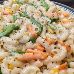 A picture of White sauce pasta.