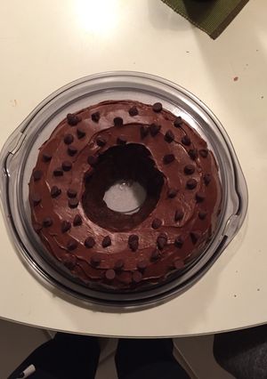 A picture of Chocolate Chocolate Chip Cake.