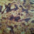 Tarta de maíz y repollo
