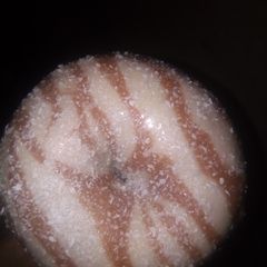 Doughnut #Fk A picture of Doughnut #Fk.