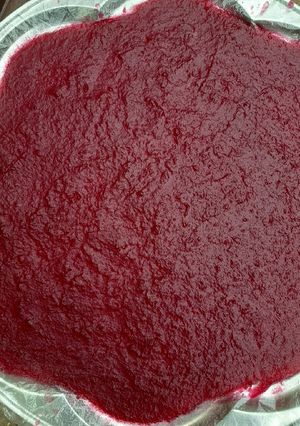 عکسی از دستور لواشک انار و سیب گلاب🍎