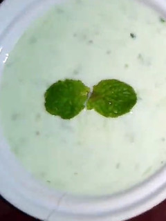 A picture of Cucumber Yoghurt.