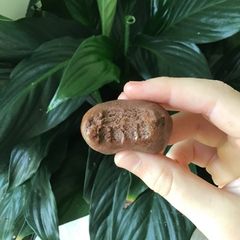 A picture of Cinnamon choco balls (a lot of sugar so please eat sensibly) :).