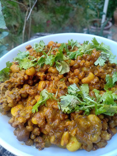 મિક્સ કઠોળ (Mix Kathol Recipe In Gujarati) રેસીપી મુખ્ય ફોટો
