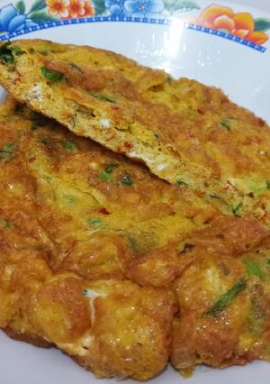 Foto resep Telur Dadar Padang