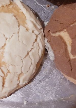 Una foto de Conchas