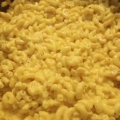 A picture of Alfredo Pasta.