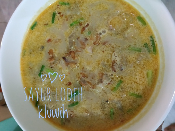 Resep Sayur lodeh kluwih Anti Gagal