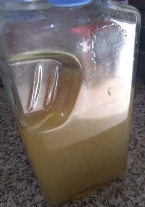 Una foto de Refresco de cáscaras de fruta 🍍🥝🍏🥤