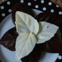 A picture of Hojitas de chocolate.