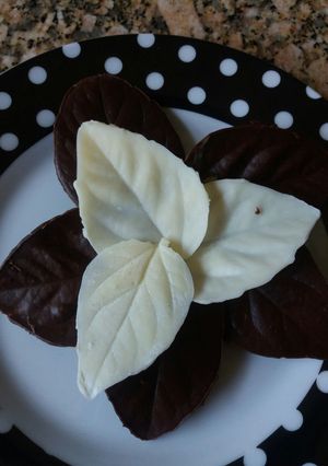 Una foto de Hojitas de chocolate