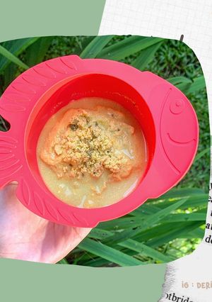Foto resep MPASI 6m menu lengkap - bubur opor ayam
