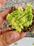 Crackers de Semillas con Aguacate