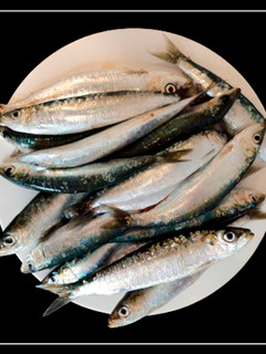 Una foto de Cómo limpiar sardinas para freír