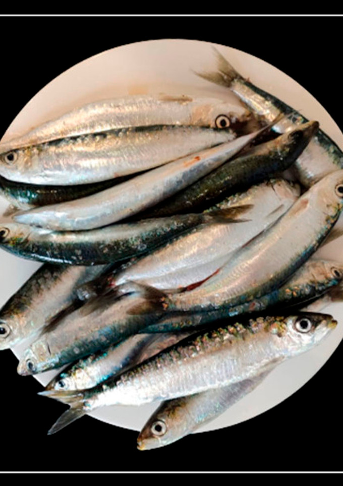 Una foto de Cómo limpiar sardinas para freír