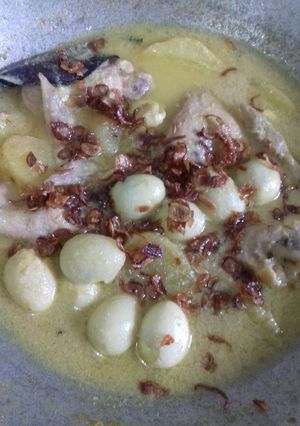 Foto resep Opor Campur2 👌👌👌