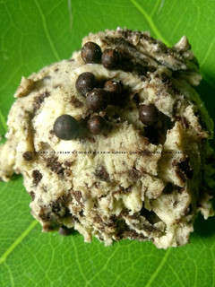 Foto resep Avocado Ice Cream n Cookies (Es Krim Alpukat dan Biskuit)