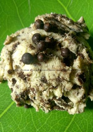 Foto resep Avocado Ice Cream n Cookies (Es Krim Alpukat dan Biskuit)