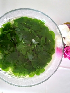 Foto resep Sayur bening kelor