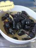 Ketuyung masak santan