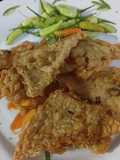 Tempe Mendoan