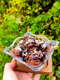 عکسی از دستور بستنی میوه ای
