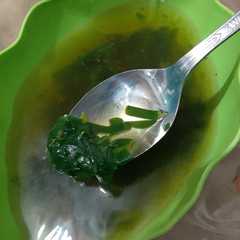 Sayur Daun Kelor রেসিপির প্রধান ছবি