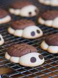 Galletas tortuga de chocolate y vainilla