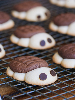 Una foto de Galletas tortuga de chocolate y vainilla