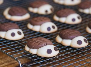 Foto principal de Galletas tortuga de chocolate y vainilla