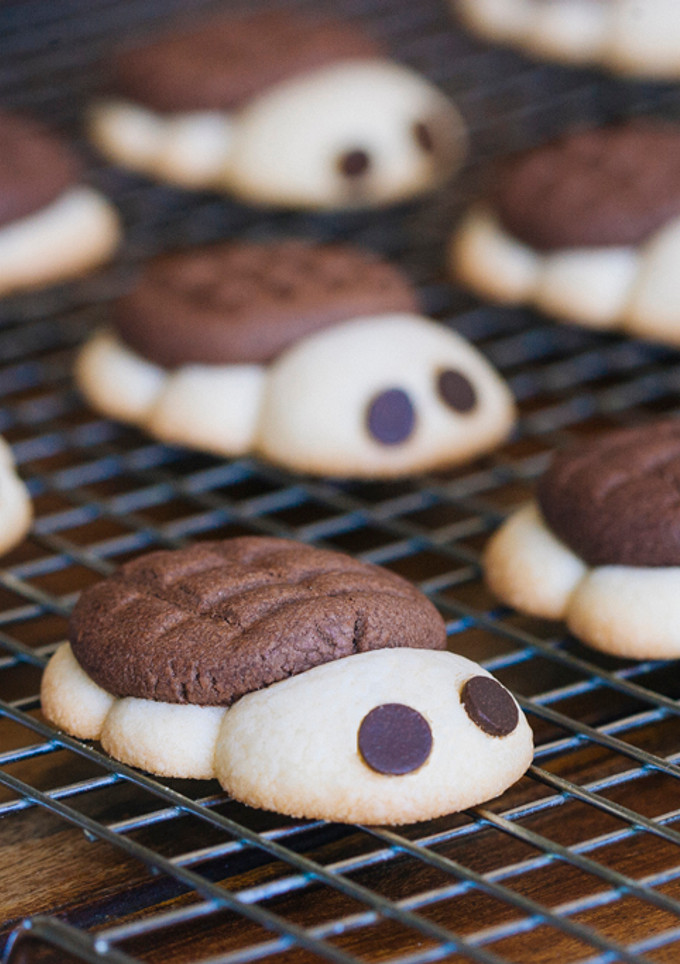Una foto de Galletas tortuga de chocolate y vainilla
