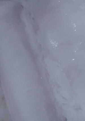 Foto resep Es kopyor
