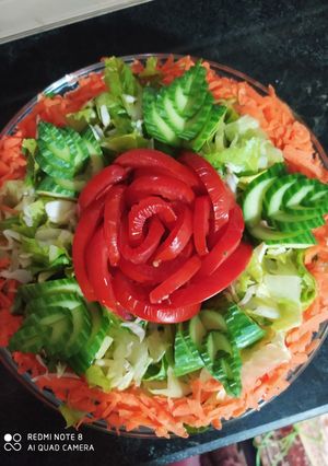 عکسی از دستور تزیین سالاد 🥗